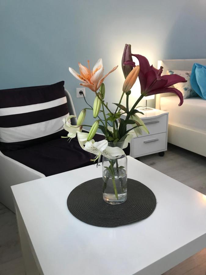 White Rose Guest Rooms Burgas City Exteriér fotografie