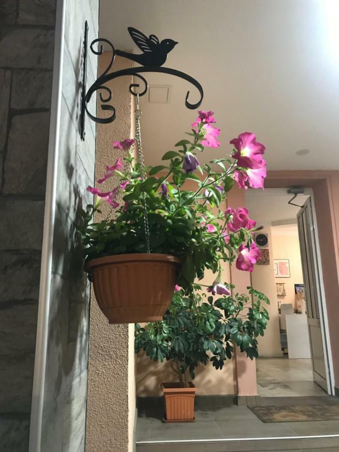 White Rose Guest Rooms Burgas City Exteriér fotografie